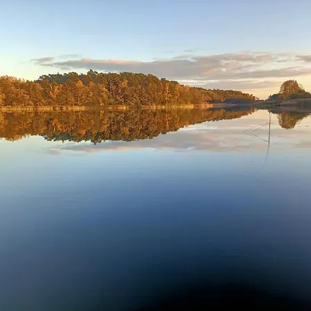 Проживание в семье Tarczyny *