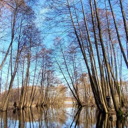 Tarczyny Проживание в семье *