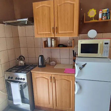 Проживание в семье Tarczyny Lidzbark Welski