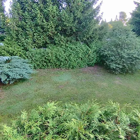 Tarczyny Проживание в семье *