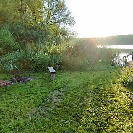 Tarczyny Проживание в семье