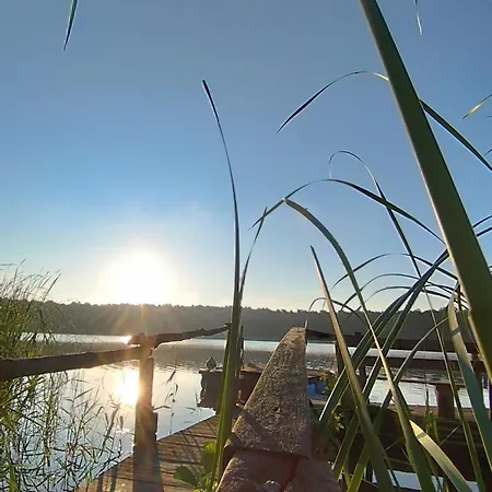 Tarczyny Проживание в семье