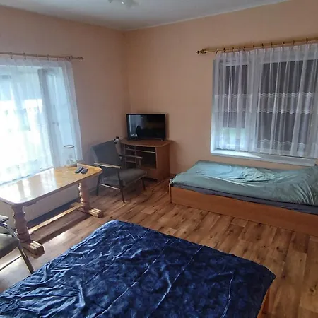 Проживание в семье Tarczyny