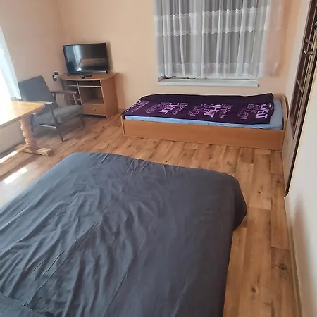 Проживание в семье Tarczyny *