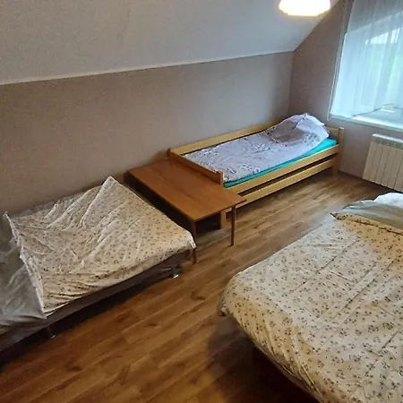 Tarczyny Проживание в семье *