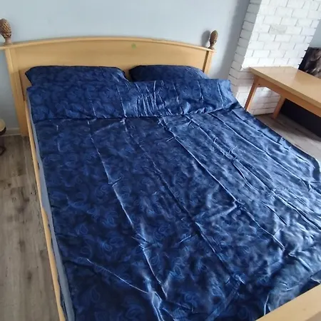 Tarczyny Lidzbark Welski